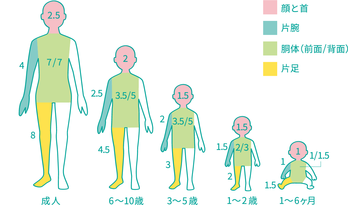 各部位の散布量の目安